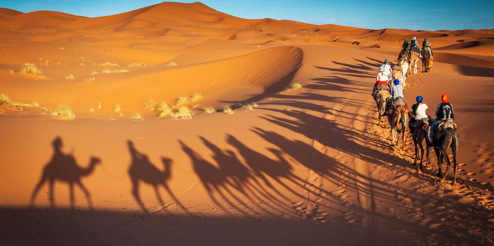 merzouga, morocco products shop