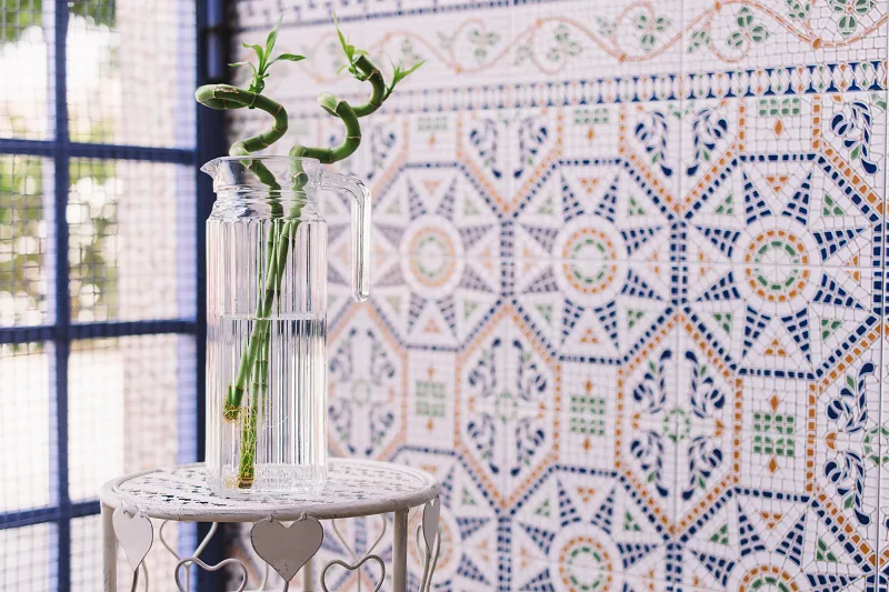a glass pitcher with a plant in it with Zellige Moroccan handmade