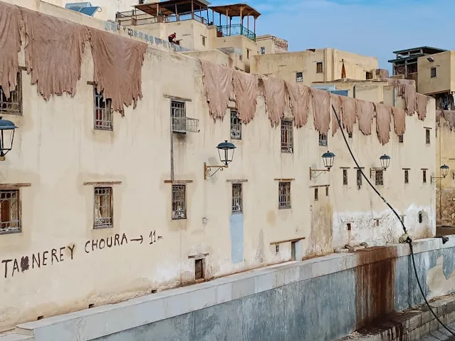 Leathers Products in the Wall of Chouarra Tannerie